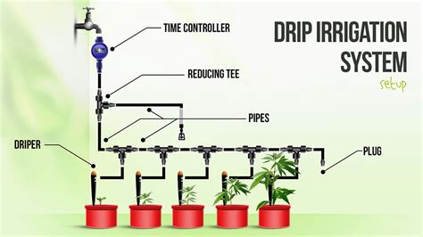 Drip Irrigation Diagrams