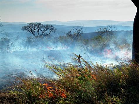 Bush Fire Photograph by Bildagentur-online/mcphoto-schaef - Fine Art ...