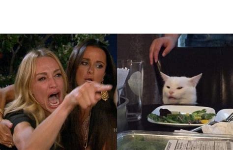 Two Women Yelling At A Cat Blank Template - Imgflip