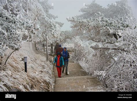 Winter wonderland, hiking in Huangshan National Park, Anhui, China ...