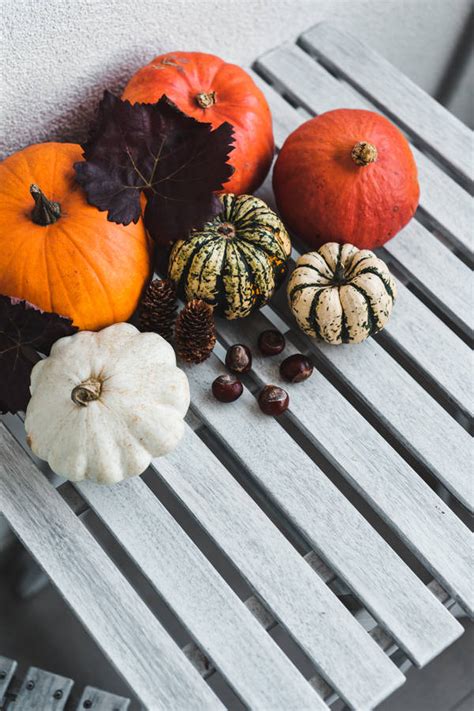 Download Colored Rustic Fall Pumpkins Wallpaper | Wallpapers.com