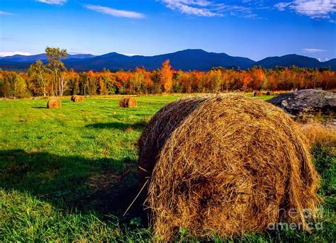 Fall foliage colors of the White Mountains Photograph by Michael ...