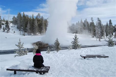 9 Reasons to Visit Yellowstone in Winter