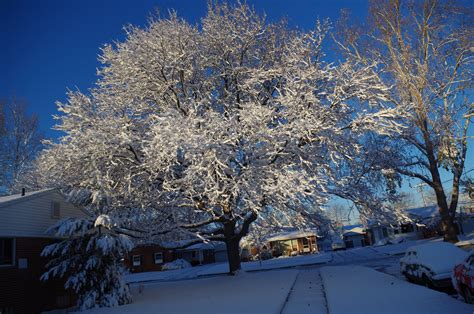 Michigan Winter on Behance