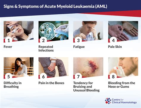 Understanding Acute Myeloid Leukemia: Causes, Symptoms, and Treatment ...