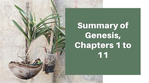 Summary of Genesis, Chapters 1 to 11 - Biblical Help