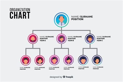 Premium Vector | Organization chart | Organigramma, Free, Grafici