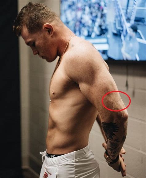 Canelo Álvarez's 14 Tattoos & Their Meanings - Body Art Guru