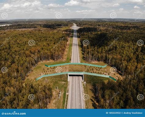 Wildlife Crossing-a Bridge Over a Highway in the Forest. the View from ...