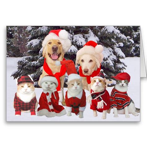 Customizable Funny Pets Christmas Card | Pet holiday cards, Dog ...