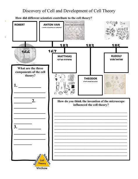 Cell Theory Timeline Worksheet - Worksheets For Kindergarten