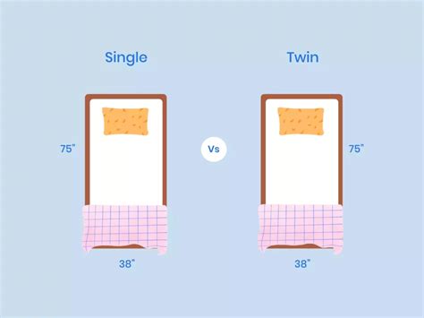 Single Vs Twin Bed Size Mattress: What Is The Difference?