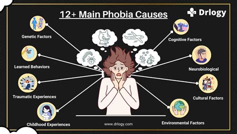 12 Main Phobia Causes For Simple and Complex Phobias - Drlogy