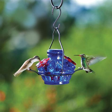 Blue Hummingbird Mini-feeder - National Geographic Store