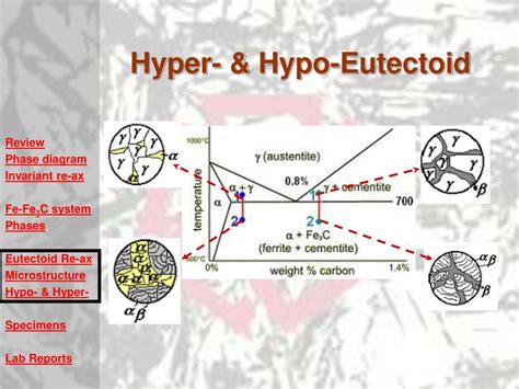 PPT - Interactive MENG 426 Lab Tutorials Experiment (4) Eutectoid ...