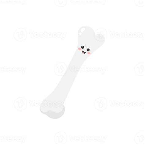 Cute cartoon bone. Bone illustration. 10789828 PNG