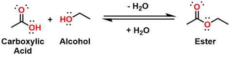 Esters – Functional Group Spotlight - Organic Chemistry Explained!