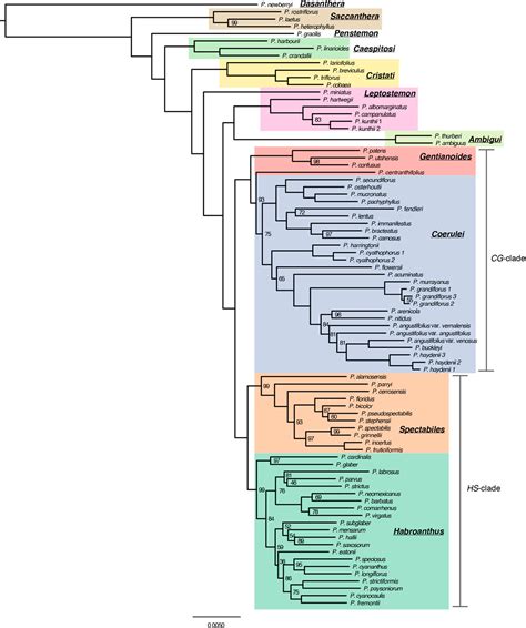 Phylogenetic Family Tree