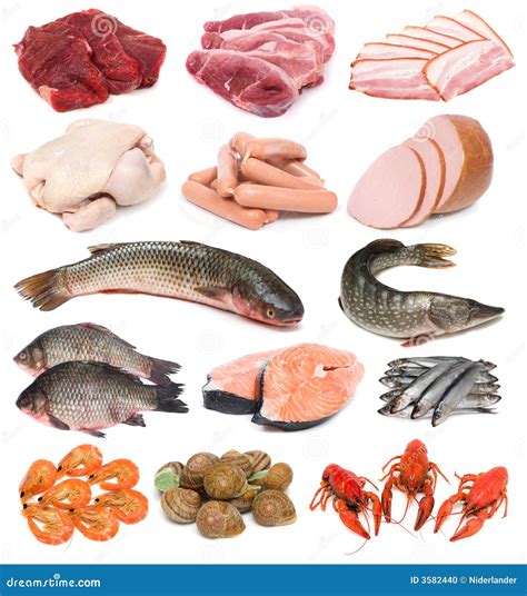 Meat, Fish And Seafood Stock Photography | CartoonDealer.com #3582440