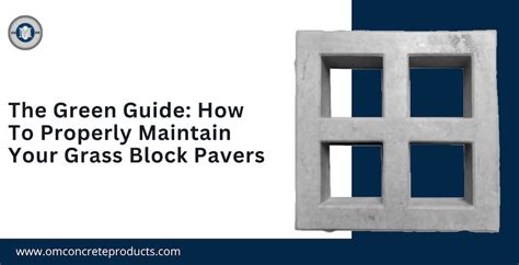 The Green Guide: How to Properly Maintain Your Grass Block Pavers