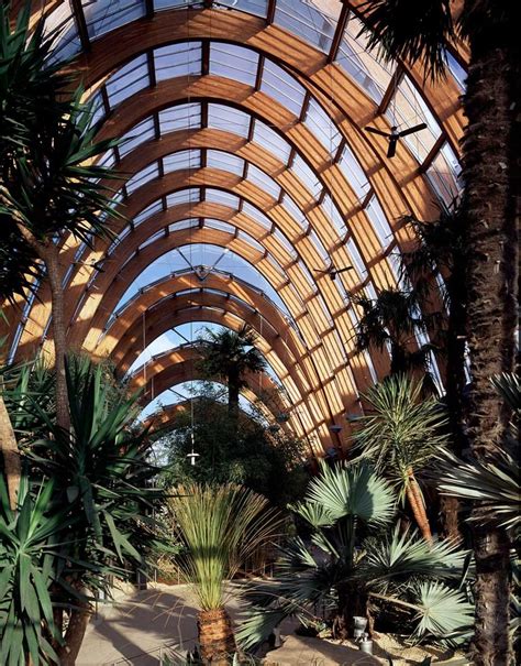 Winter Garden, Sheffield - Interior View | © Martine Hamilton Knight ...