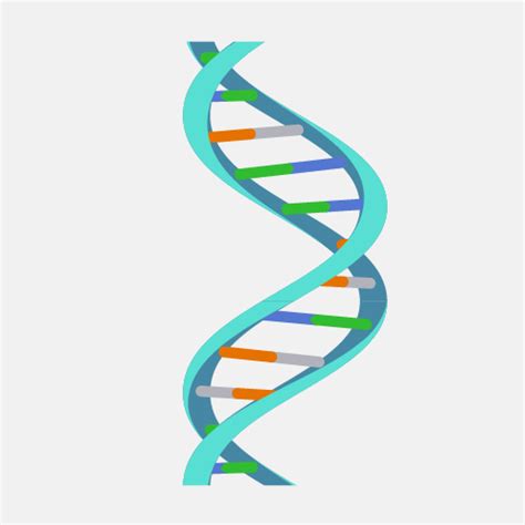 Dna Helix Model