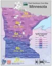 plant hardiness zones mn - Google Search in 2020 | Plant hardiness zone ...