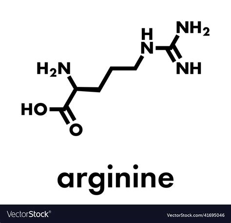 Arginine l-arginine arg r amino acid molecule Vector Image