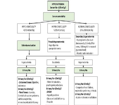 Hyponatremia Causes Pathophysiology Algorithm Correction Treatment ...