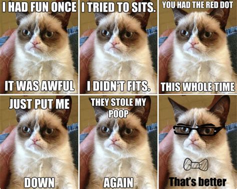 Grumpy Cat Quotes | Funny Collection World