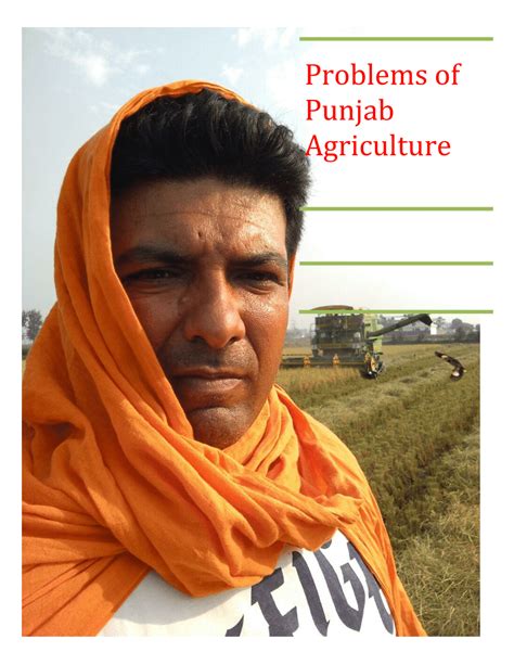 (PDF) Problems of Punjab Agriculture