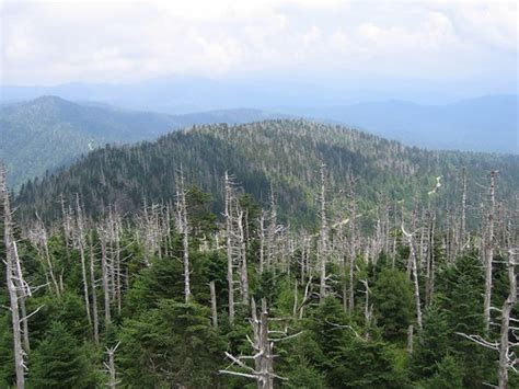 My Name is Rob: The Highest Point in Tennessee