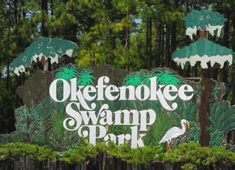 Okefenokee Swamp Camping