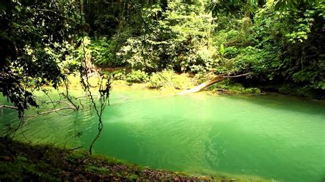 Waterfalls Of Little Andaman Island - YouTube