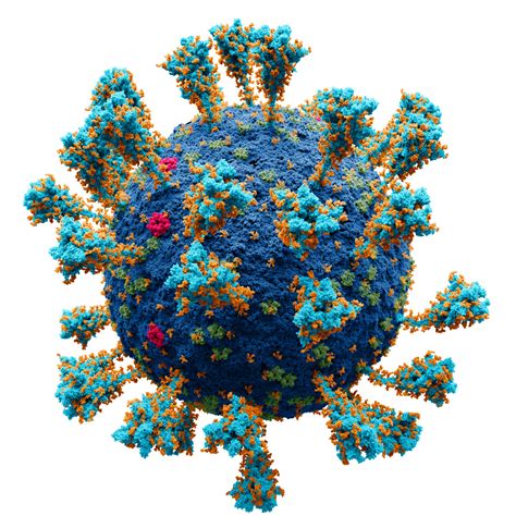 SARS-CoV-2 spike protein activates human endogenous retroviruses in ...