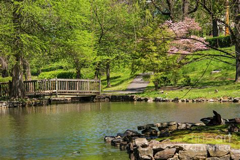 Hagerstown City Park Photograph by Bob Phillips | Fine Art America