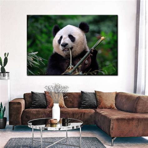 Panda Eating Bamboo Wall Art | Photography