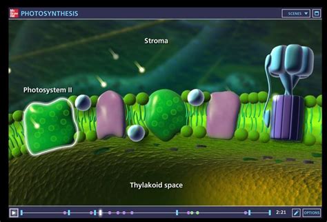 One of the best photosynthesis animations on the web. This animation ...