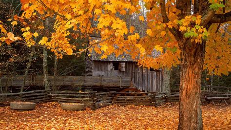 Download Autumn Cabin Wallpaper 1920x1080 | Wallpoper #151707