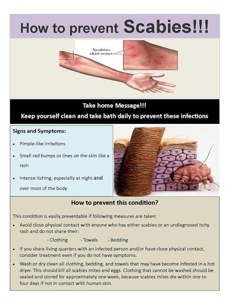 YAISHWARYAJ: Health Awareness Flyer on Scabies Prevention