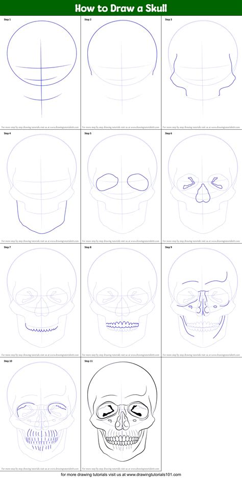 How to Draw a Skull (Skulls) Step by Step | DrawingTutorials101.com