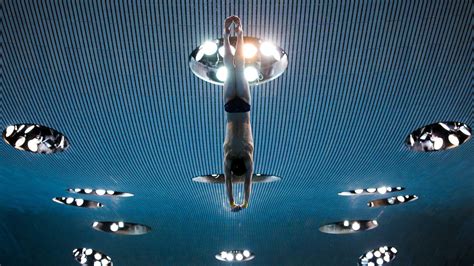 Platform and Springboard Diving | An Introduction to the Basics of Diving