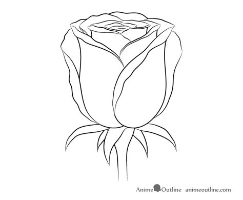 How to Draw a Rose Step by Step - AnimeOutline