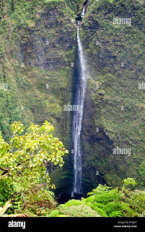 View back waipio valley waterfalls hi-res stock photography and images ...