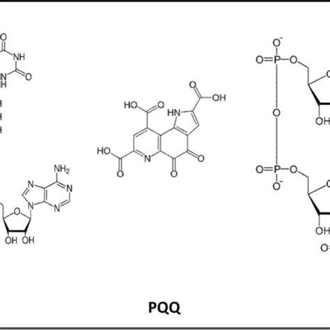 Scheme of enzyme structure showing protein structure, cofactor, and ...