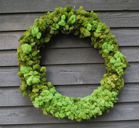 Make It... a Wonderful Life: Quick Moss Wreath