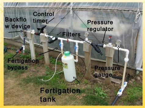 Drip Irrigation in High Tunnels, 2015