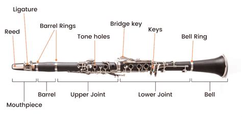 Parts Of A Clarinet: The Anatomy Explained