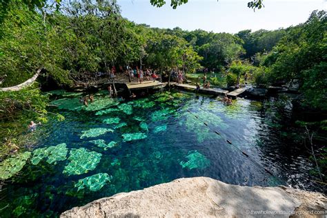 Ultimate Guide to Cenote Azul (2024) | The Whole World Is A Playground