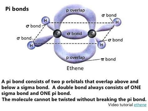 solubility - Intermolecular forces between carbon dioxide and water ...